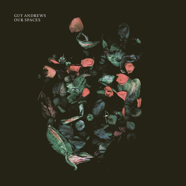 GUY ANDREWS — OUR SPACES