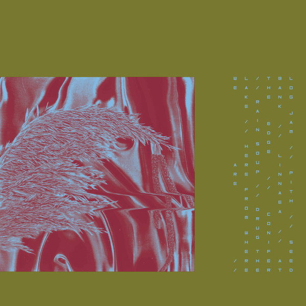 PARIAH — HERE FROM WHERE WE ARE