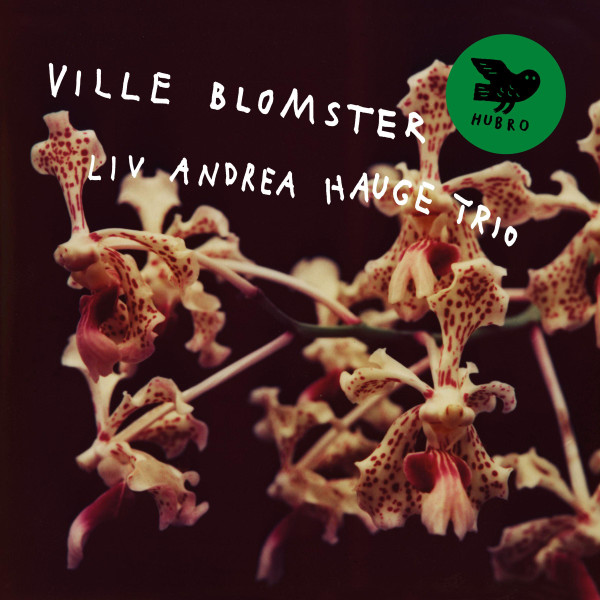 LIV ANDREA HAUGE TRIO — VILLE BLOMSTER