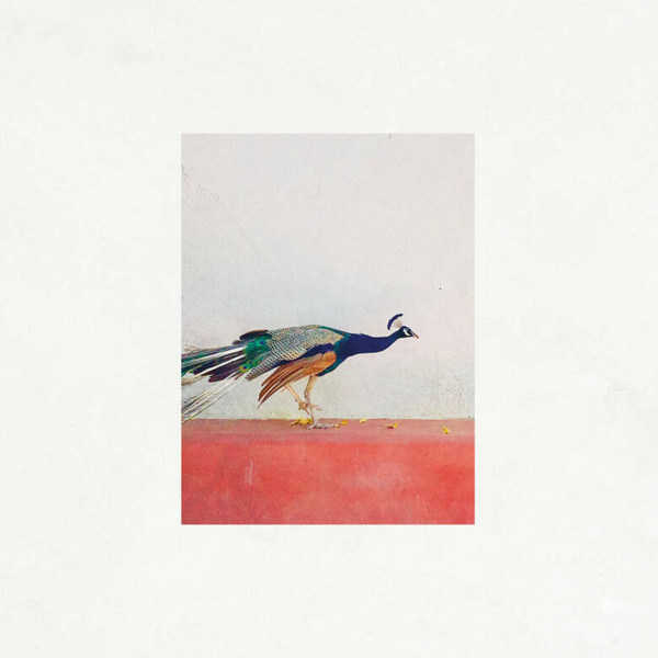 JASON SINGH & THE BANWASI COLL — TRAVELLERS