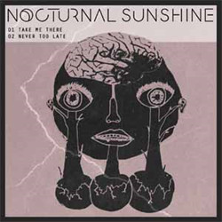 NOCTURNAL SUNSHINE — TAKE ME THERE