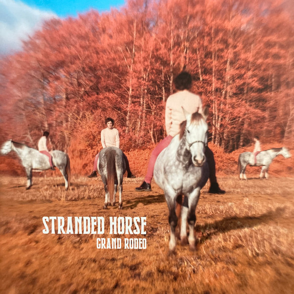 STRANDED HORSE — GRAND RODEO