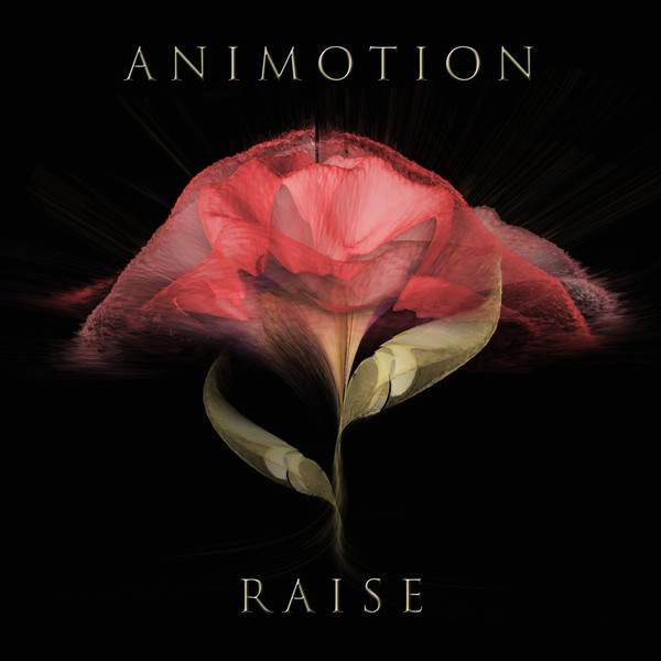 ANIMOTION — RAISE YOUR EXPECTATIONS