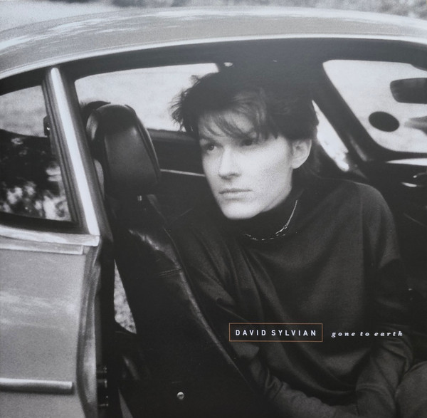 DAVID SYLVIAN — GONE TO EARTH