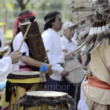 Cr√®me De Hassan — Tricontinental Circus