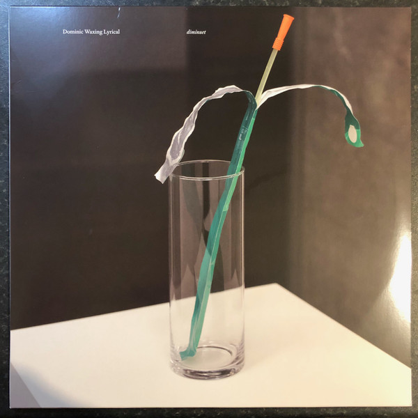 DOMINIC WAXING LYRICAL — DIMINUET