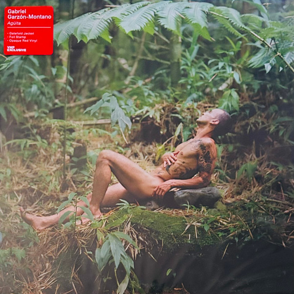 GABRIEL GARZON MONTANO — Aguita