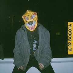 UNKNOWN MORTAL ORCHESTRA — IC-02 BOGOTA