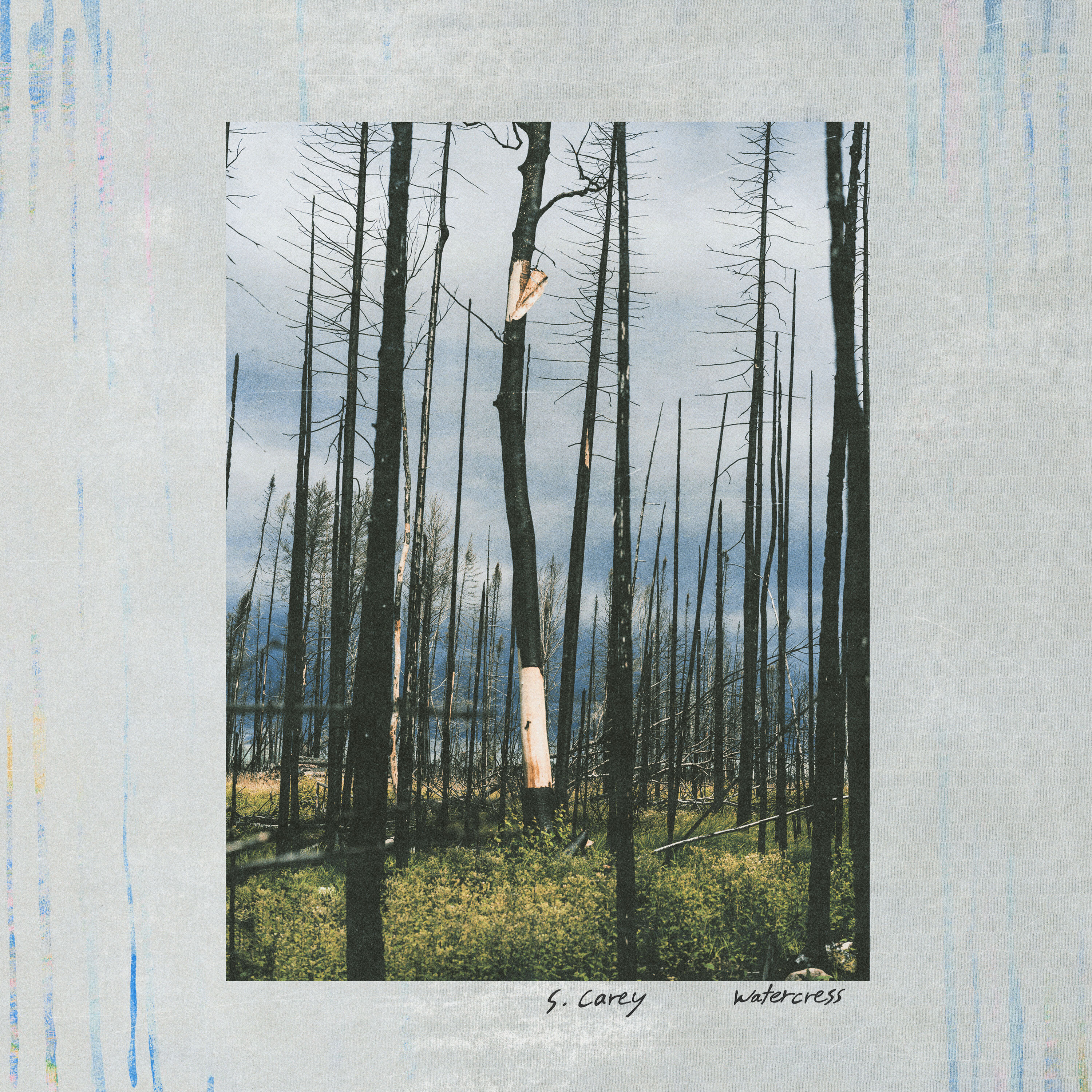 S CAREY — WATERCRESS