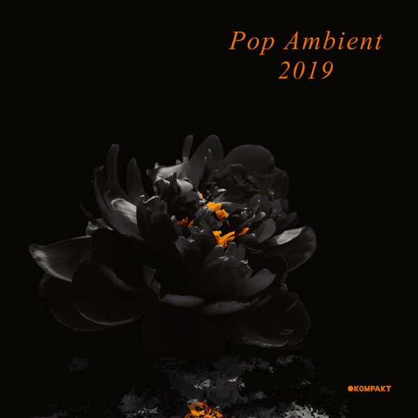 VARIOUS ARTISTS — POP AMBIENT 2019