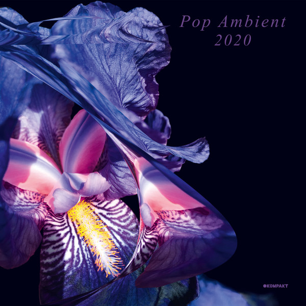 VARIOUS ARTISTS — POP AMBIENT 2020