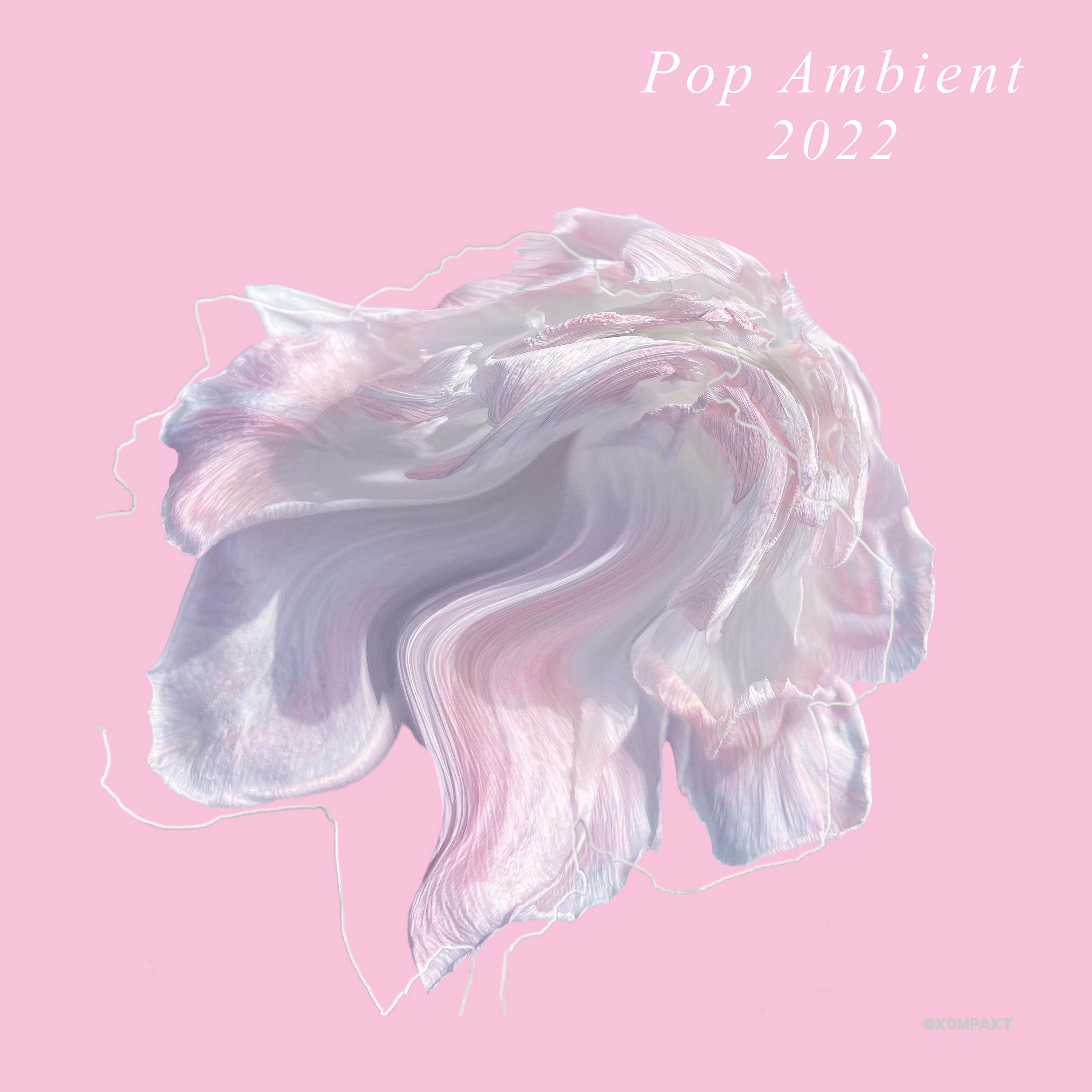 VARIOUS ARTISTS — POP AMBIENT 2022