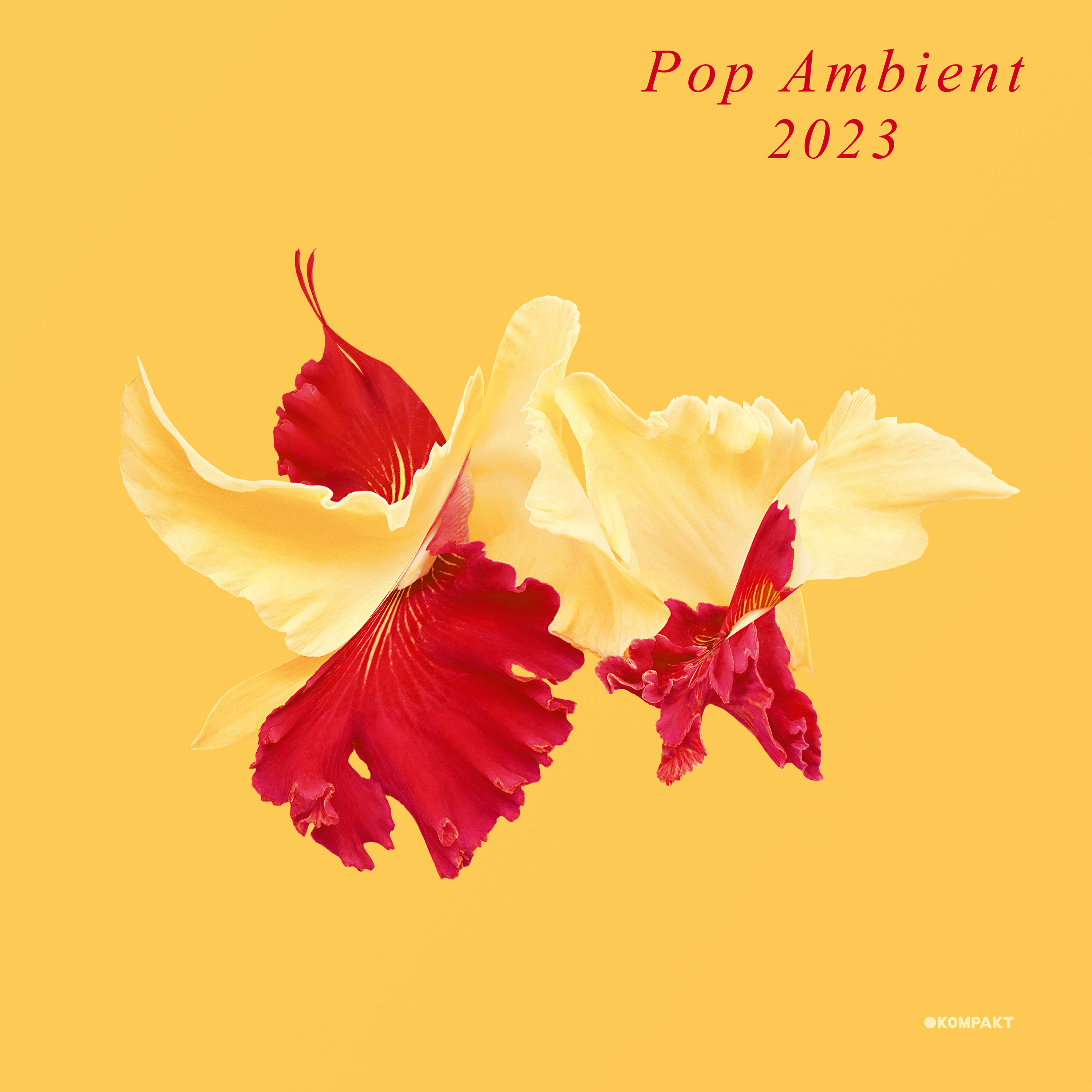 VARIOUS ARTISTS — Pop Ambient 2023
