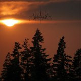 Shane Cooper — HAPPENSTANCE