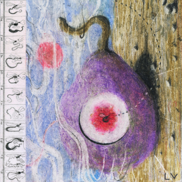 LUNAR VACATION — INSIDE EVERY FIG IS A DEAD WASP