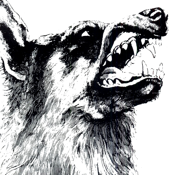 CRIPPLED BLACK PHOENIX — I  VIGILANTE