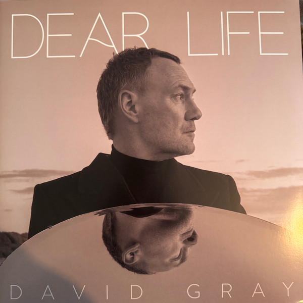 DAVID GRAY — DEAR LIFE