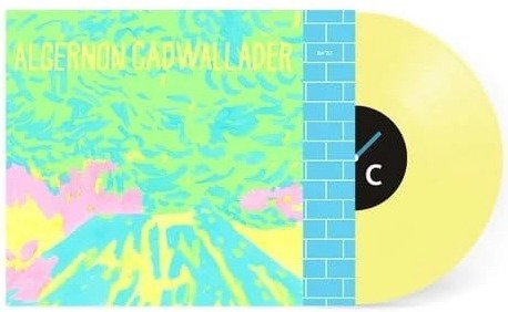 ALGERNON CADWALLADER — TRYING NOT TO HAVE A THOUGHT (YELLOW COLOUR)