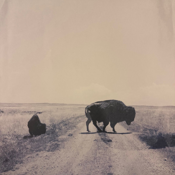 BIG HARP — RUNS TO BLUE