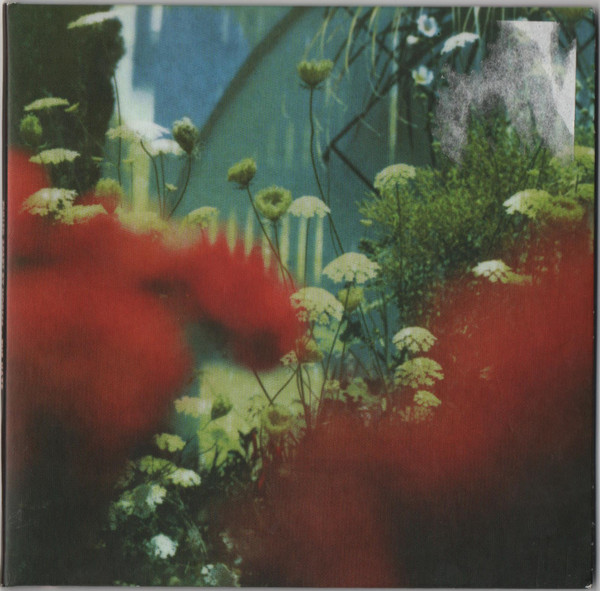 PULLED APART BY HORSES — THE HAZE