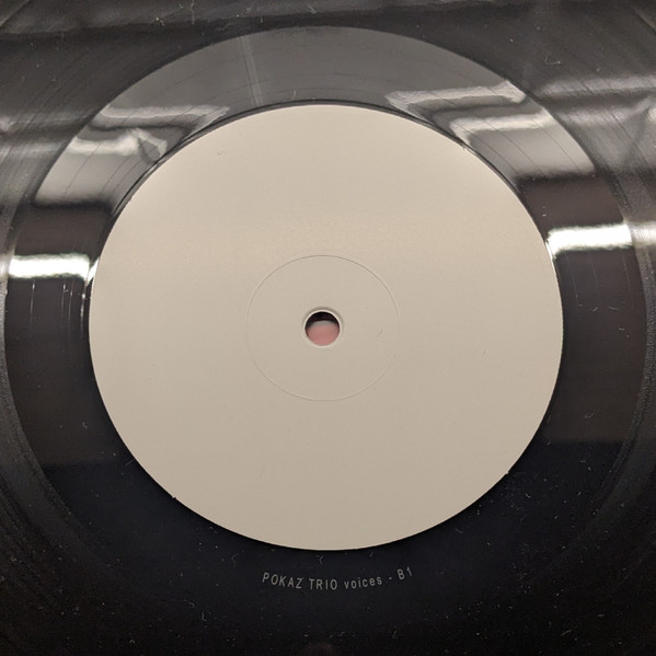 POKAZ TRIO — VOICES