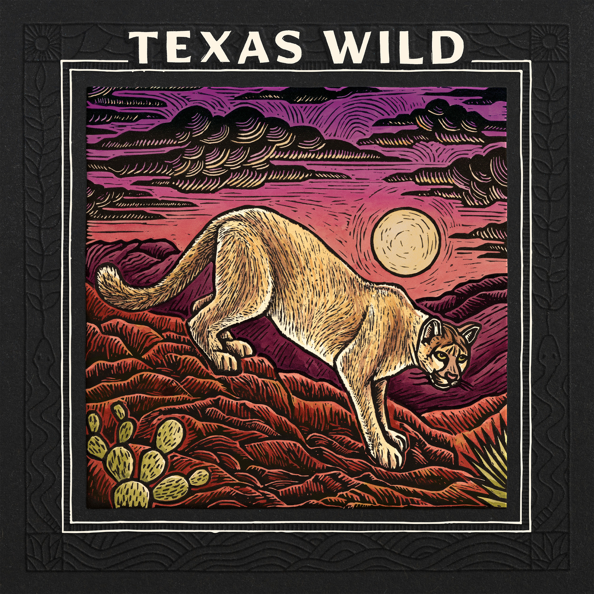 VARIOUS ARTISTS — TEXAS WILD