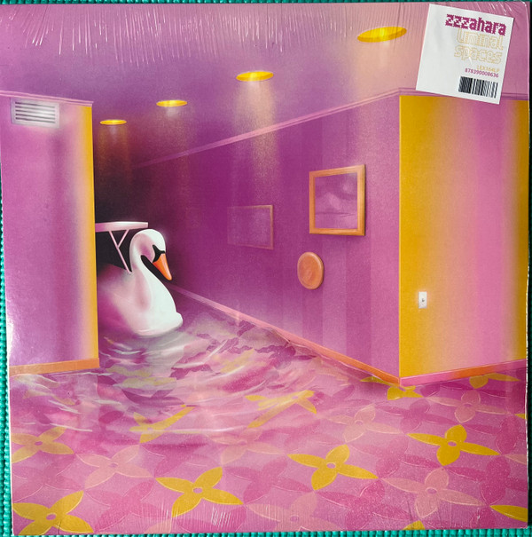 ZZZAHARA — LIMINAL SPACES