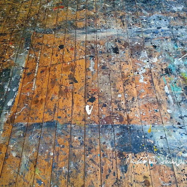 PAINTED SHIELD — PAINTED SHIELD