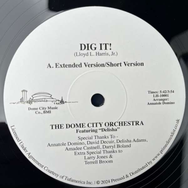 The Dome City Orchestra — Dig It!