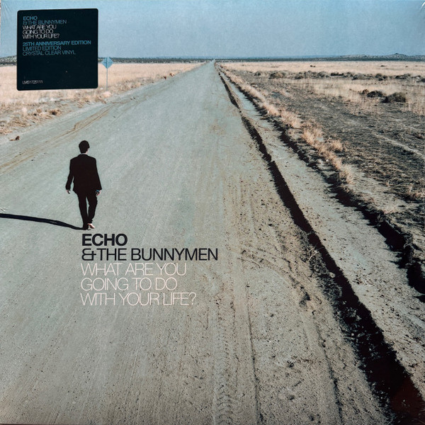ECHO & THE BUNNYMEN — WHAT ARE YOU GOING TO DO WITH YOUR LIFE?