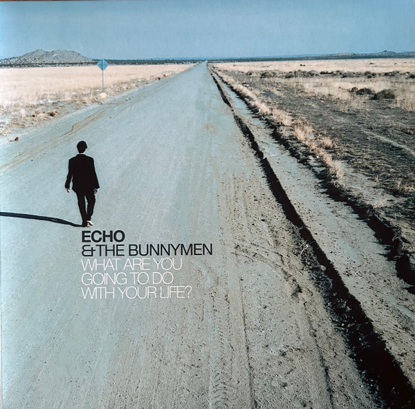 ECHO & THE BUNNYMEN — WHAT ARE YOU GOING TO DO WITH YOUR LIFE?