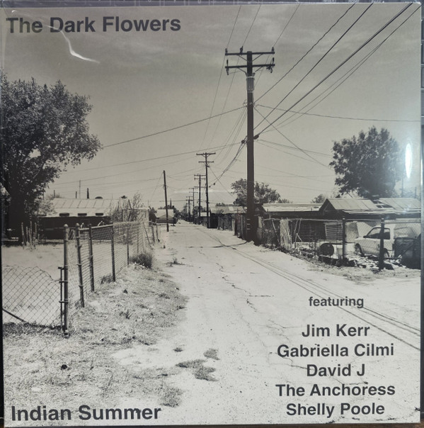THE DARK FLOWERS — INDIAN SUMMER