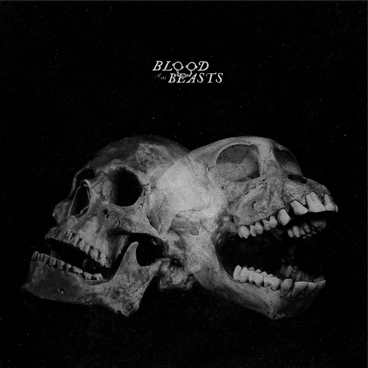 SECT — BLOOD OF THE BEASTS