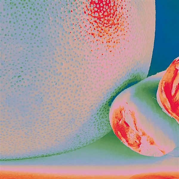 CITRUS CITRUS — ALBEDO MASSIMA