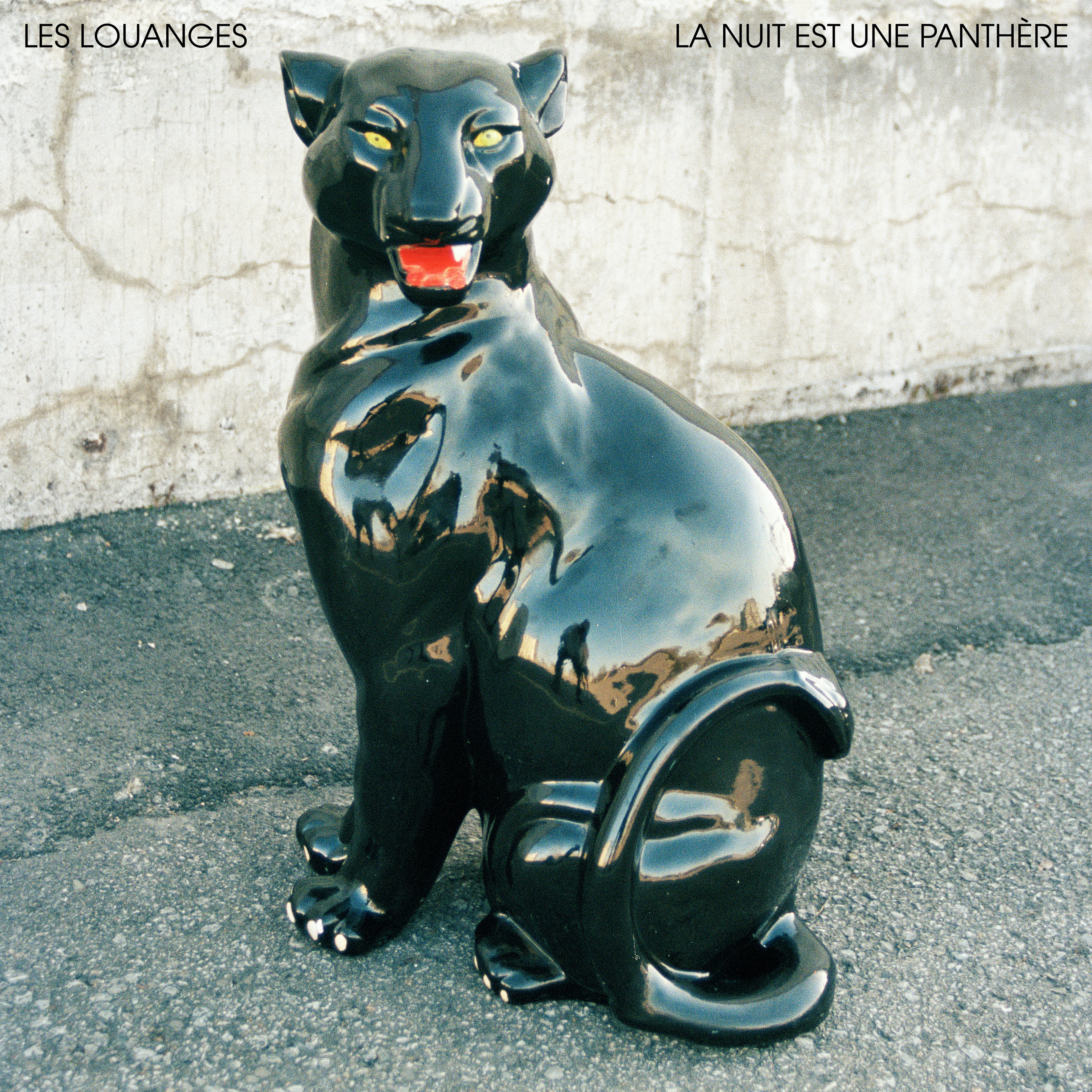 LES LOUANGES — La Nuit Est Une Panthere