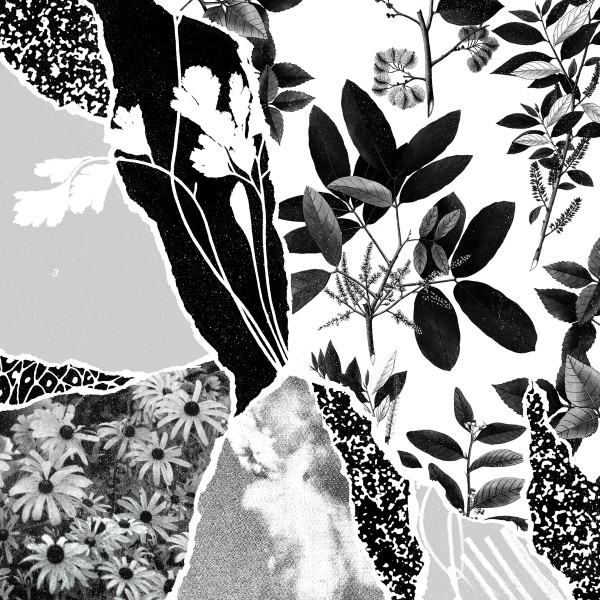 PONCTUATION — Mon Herbier Du Monde Entier