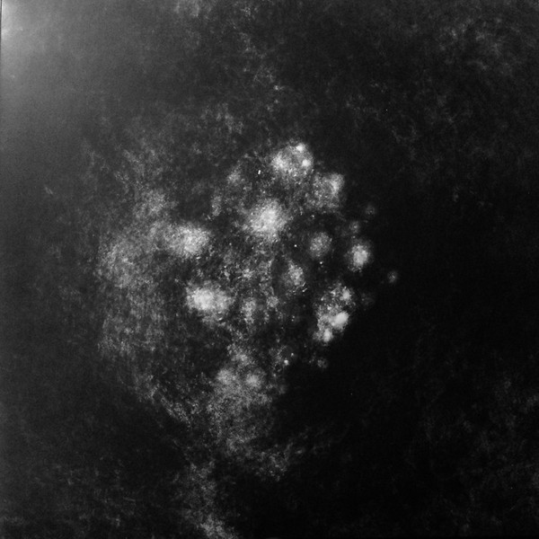 SAFFRONKEIRA — Synecdoche