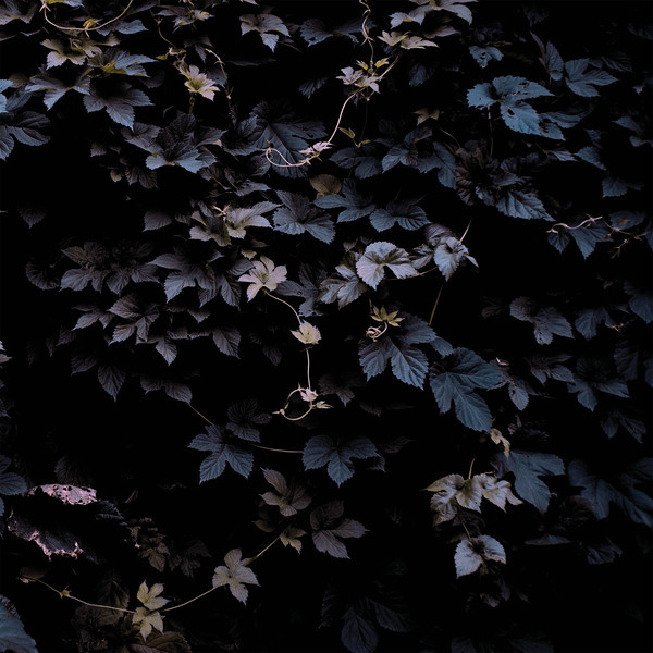 MICHAEL VALLERA — Vivid Flu