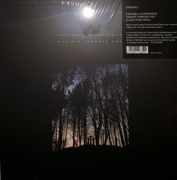 ENSEMBLE ECONOMIQUE — Radiate Through You