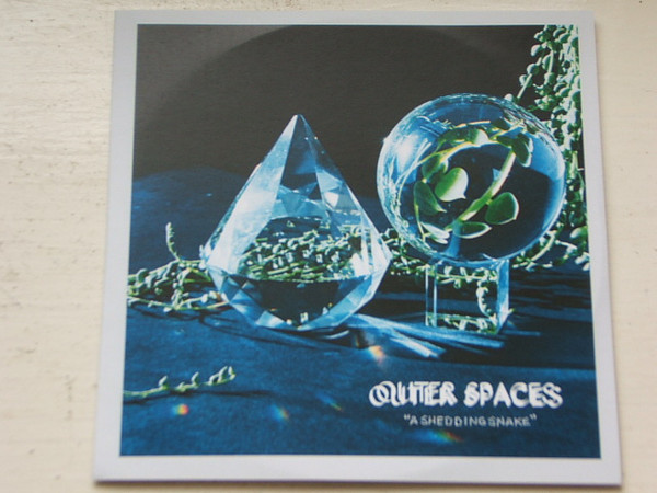 OUTER SPACES — A Shedding Snake