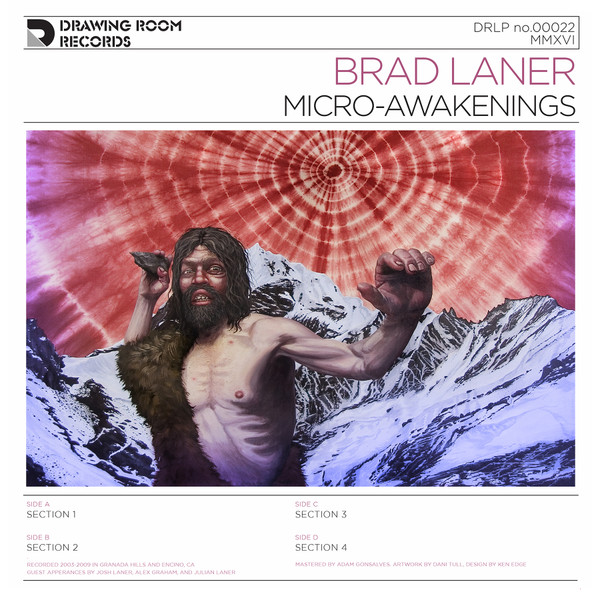 BRAD LANER — Micro-Awakenings