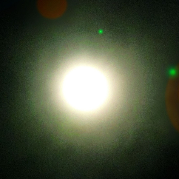 SALAMANDER WOOL — Solar Solipsis