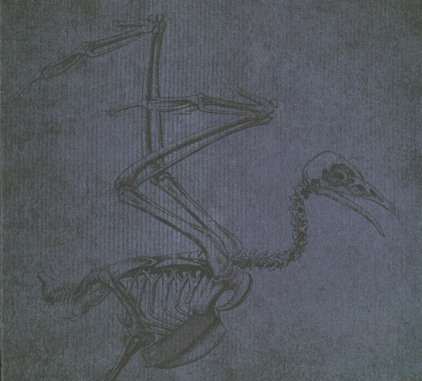 BEAUTY PILL — Please Advise