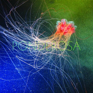 PONDEROSA — Pool Party