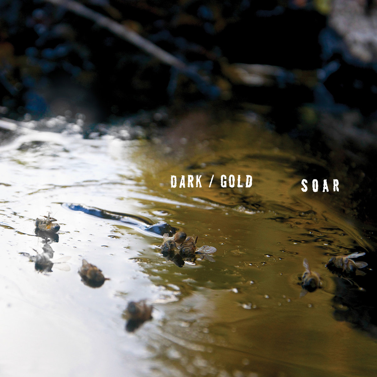 SOAR — Dark / Gold