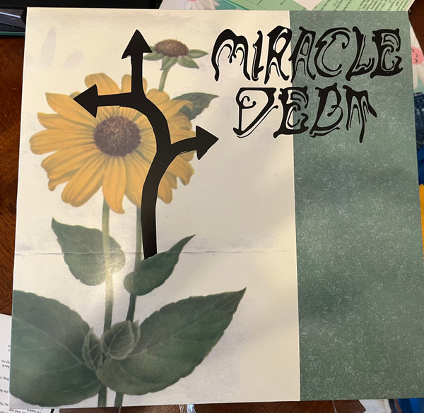 MIRACLE DEBT — Under The Shadow
