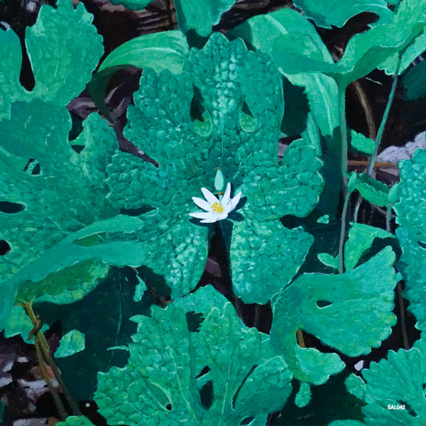 EARLY FERN — Wetland Interiors