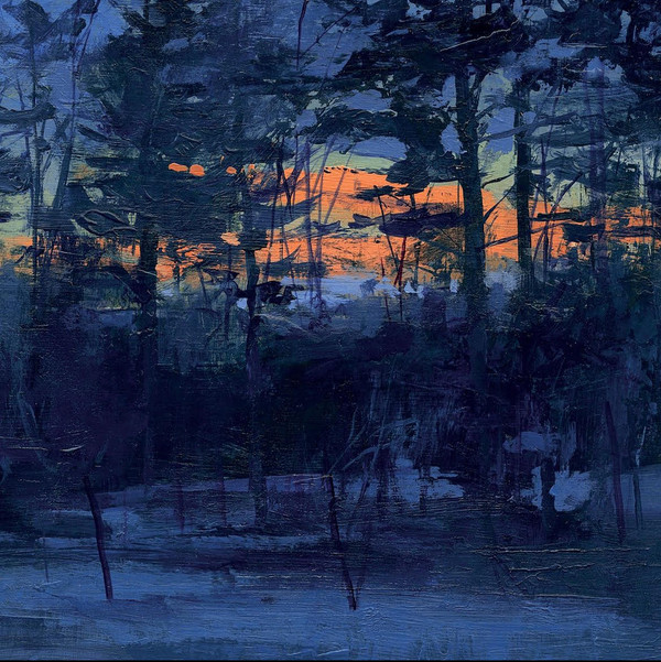 ANIMAL HOSPITAL — Shelf Life