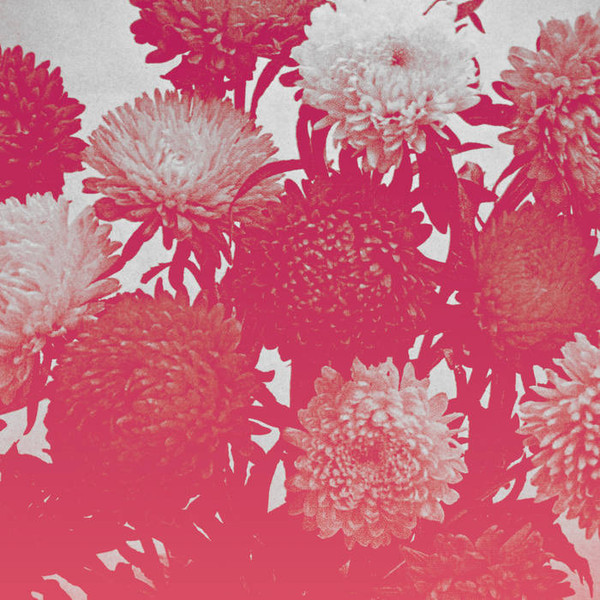 AMELIA COURTHOUSE — Broken Things