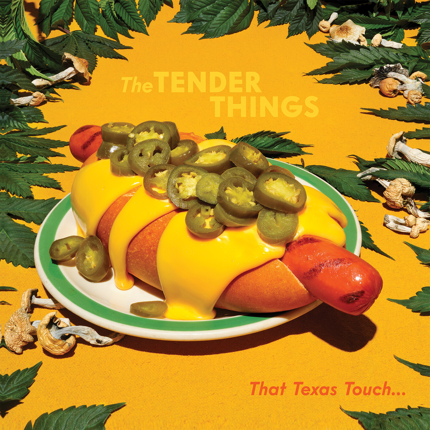 TENDER THINGS — That Texas Touch